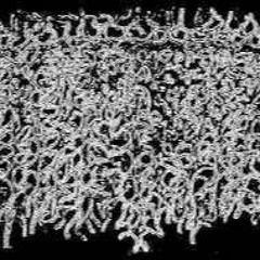 Mang Shola, Mang Sean, Mang JUL -  348 BAR BIAR ENGGA PUSING