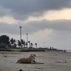 خالو قنبر راستگو