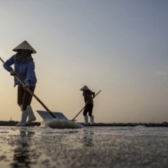 Salt Lake Rake (SUPER FINAL)