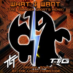 What I Want (The Thunder Ghost's Remix)
