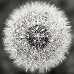 Maniak 715 (MelodicHouseDeepHouseElectronic) 125 BPM / 15.11.25