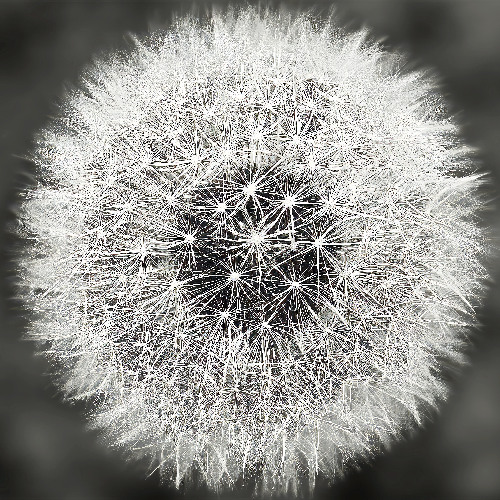 Maniak 715 (MelodicHouseDeepHouseElectronic) 125 BPM / 15.11.25