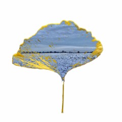 TOBY GINKGO | FEB 2021 | Carry me home