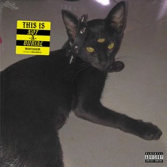 THIS IS NOT A BURIAL prod. by erameld
