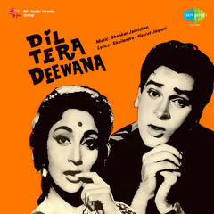 Dil Tera Diwana Hai Sanam