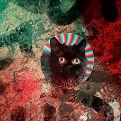 BHZ - INGWERZITRONETEE [CAERMI REMIX - FAUNT REWORK]