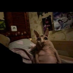 Цвет луны и иния