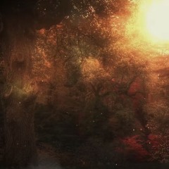 tee50 x HR persistence (sbjrdn + mingus)