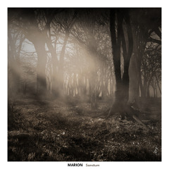 MARION - Sanctum