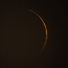 Classic & Artistic Guitar(Lute)