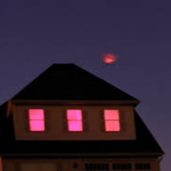 endeavor to die or create.