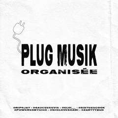 Plug Musik Organisée Pt.1