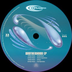 Blue Vision - Brotherhood EP (PHP002)