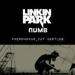 Linkin Park - Numb (Pheromonas Cat Edit)
