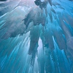 Loyal Critter (FenniPop Mix)