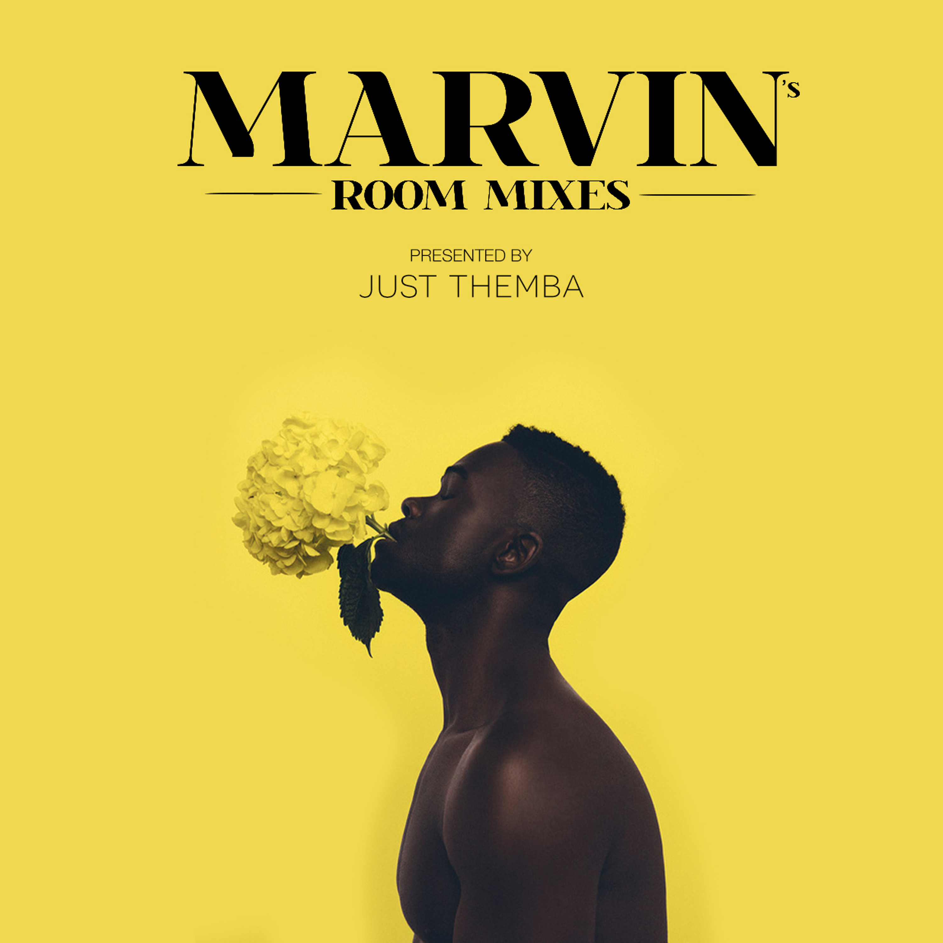 Marvin Conversations