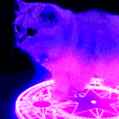 demonic little grey cat if bro locked tf in