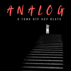 ANALOG - G Funk Hip Hop Instrumental Beat (5)