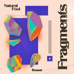 Natural Fool - Fragments