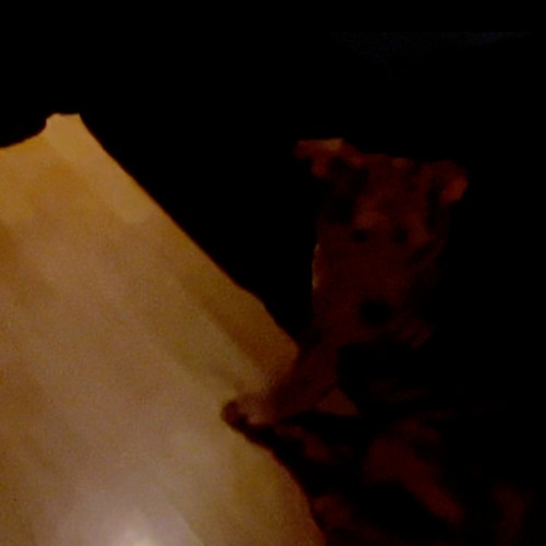 DAV1D - MANY T1MES (Prod by OhissMqueen)