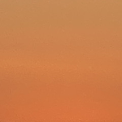 ( رِفقا حين تطرُق الباب .. فإنه لم يَعد في الدار أصحاب )