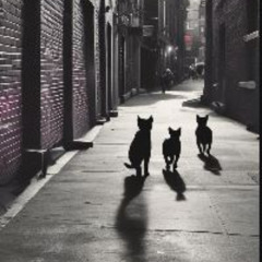 Feline Frenzy