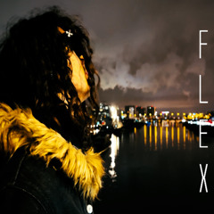 flex €€€ (prod. theow)