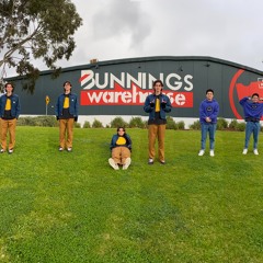 Bunnings snags