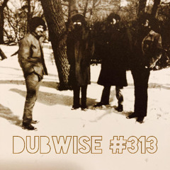 Dubwise #313