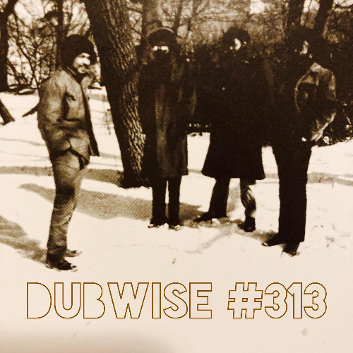 Dubwise #313