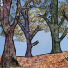 The Place in the Forest