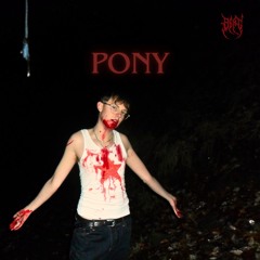 Pony