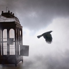 The Caged Bird