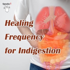 Healing Frequency for Indigestion  - Spooky2 Rife Frequencies