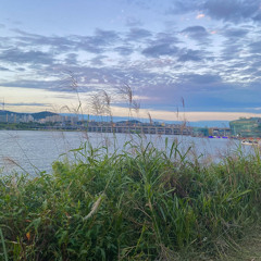 우효(OOHYO)-민들레(single ver.) Cover by ChCh