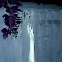 selenite—is anyone listening?