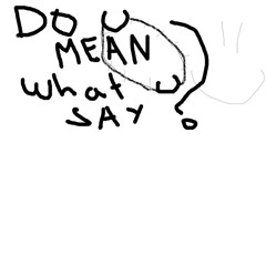 Do you mean what u say