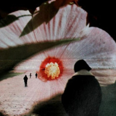 L'appel du vide