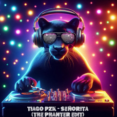 Tiago PZK - Señorita (The Phanter EDIT)