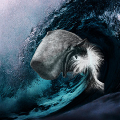 VLADU - Moby Dick (original mix)