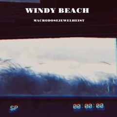 Windy Beach Ft. Atlas Timeus & Stray Louis