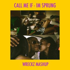 CALL ME IF - IM SPRUNG [DJ WRECKZ MASHUP]