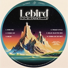 PREMIERE: Lebird - Froggy Style [La Forge]