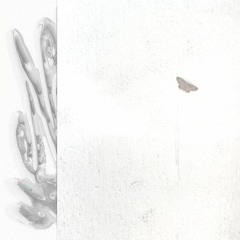 golden bounce_cmd + s_2205