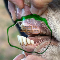 The Horse  {w/ Hannah Endrulat}(for RadioWORM/Radia ~ May 27, 2019)