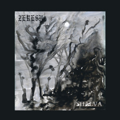 Shalva (feat. Sara Krasemann & Choshech)