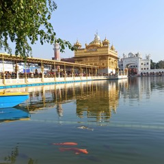 Charankamal Di Chownki Darbar Sahib 29 January  2022