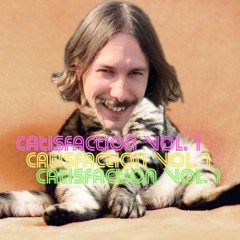Catisfaction Vol. 1 x Wolowizard