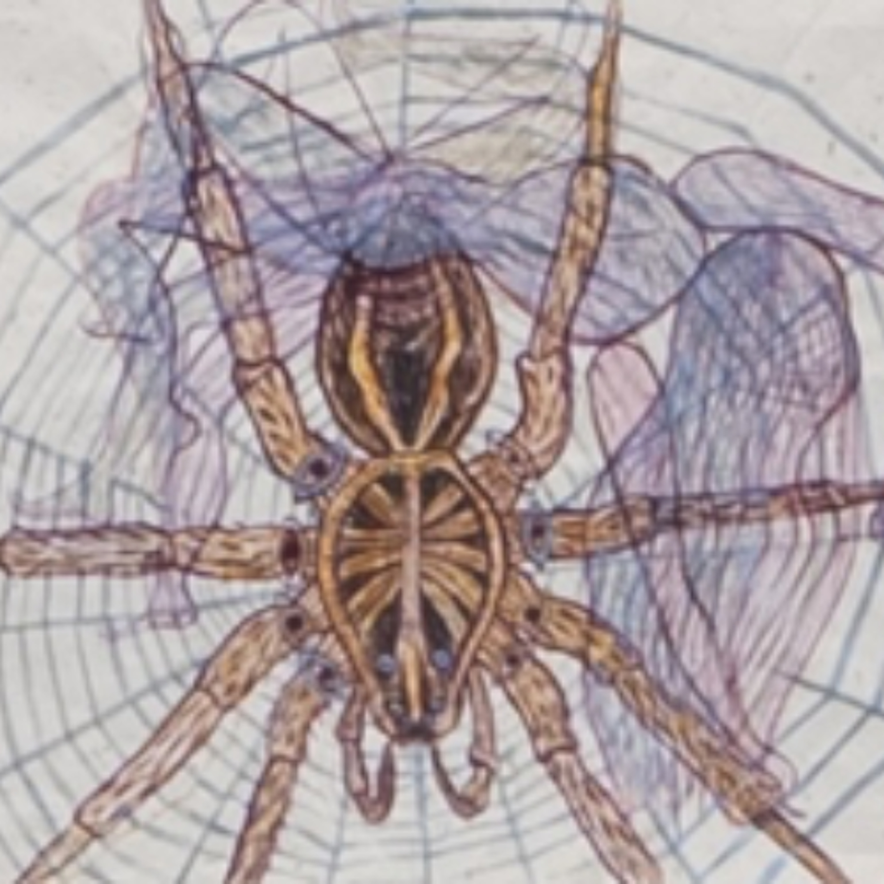 Web episode artwork