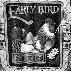 Early Bird Seeds